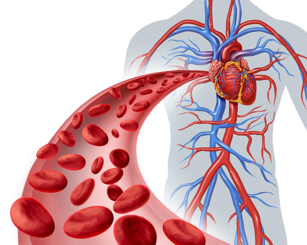 日常生活中吃什么能保护血管，避免心血管疾病？
